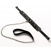 Черный ошейник с шипами и поводком - Crazy Handmade - купить с доставкой в Волжском