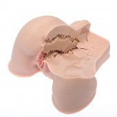 Мастурбатор-полуторс Naked Factory Kate - Naked Factory - в Волжском купить с доставкой