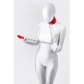 Красный ошейник с подкладкой из меха - ToyFa - купить с доставкой в Волжском