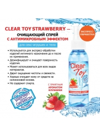 Очищающий спрей для игрушек CLEAR TOY Strawberry - 100 мл. - Биоритм - купить с доставкой в Волжском