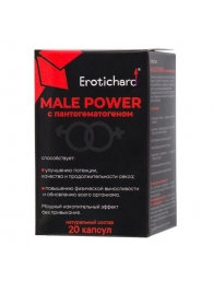 Капсулы для мужчин Erotichard male power с пантогематогеном - 20 капсул (0,370 гр.) - Erotic Hard - купить с доставкой в Волжском