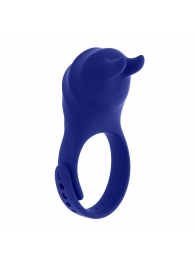Синее эрекционное виброкольцо с клиторальной подушечкой и пультом ДУ Adjustable Fun Ring - Zero Tolerance - в Волжском купить с доставкой