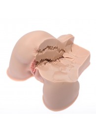 Мастурбатор-полуторс Naked Factory Kate - Naked Factory - в Волжском купить с доставкой