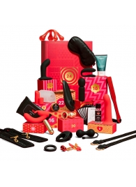 Адвент-календарь Lovehoney Couple’s Advent Calendar 2025 - We-vibe - купить с доставкой в Волжском