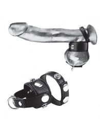 Утяжка для мошонки и пениса Cock Ring With 1  Ball Stretcher And Optional Weight Ring - BlueLine - купить с доставкой в Волжском