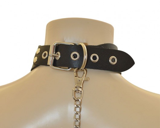 Ошейник  Веселый Роджер - Sitabella - купить с доставкой в Волжском