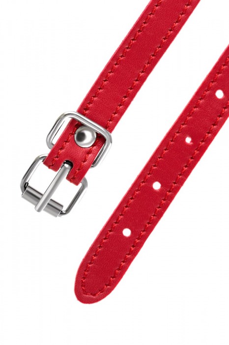 Красная маска Anonymo из искусственной кожи - ToyFa - купить с доставкой в Волжском