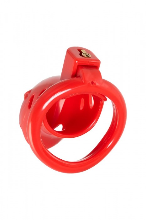 Красный мужской пояс верности из пластика - ToyFa - купить с доставкой в Волжском