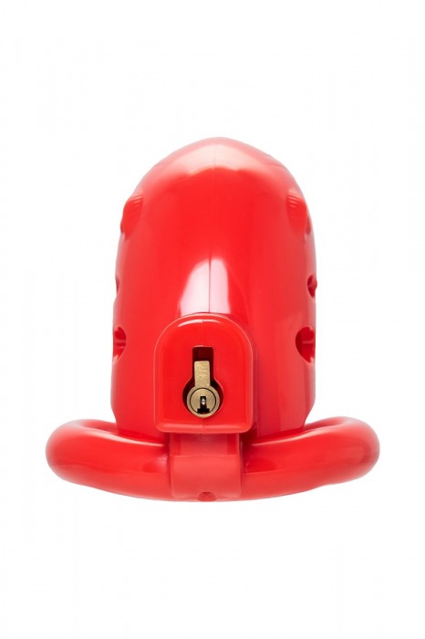 Красный мужской пояс верности из пластика - ToyFa - купить с доставкой в Волжском