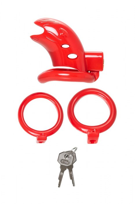 Красный мужской пояс верности из пластика - ToyFa - купить с доставкой в Волжском