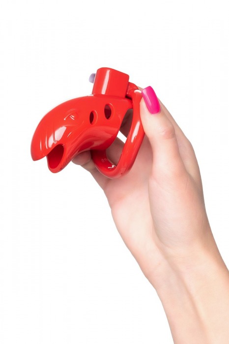 Красный мужской пояс верности из пластика - ToyFa - купить с доставкой в Волжском