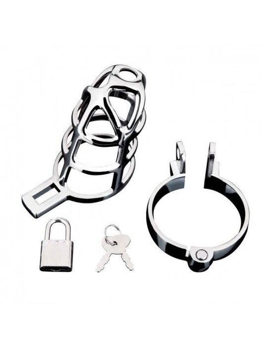 Серебристая металлическая клетка для члена с замком Enslave Cock Cage - BlueLine - купить с доставкой в Волжском