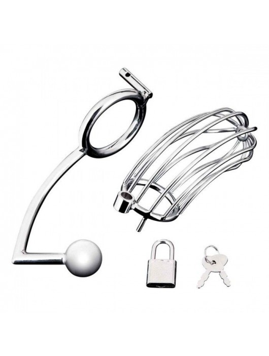 Серебристая металлическая клетка с анальным стимулятором Cock Cage - BlueLine - купить с доставкой в Волжском