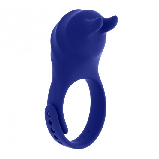 Синее эрекционное виброкольцо с клиторальной подушечкой и пультом ДУ Adjustable Fun Ring - Zero Tolerance - в Волжском купить с доставкой