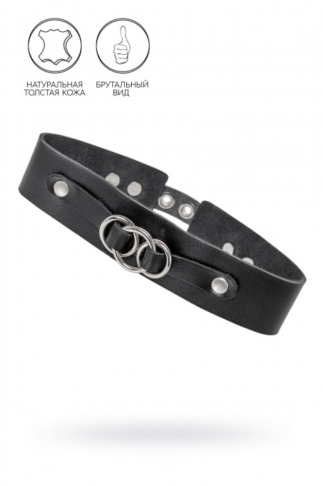 Черный чокер-ошейник со связанными кольцами на подложке - Pecado - купить с доставкой в Волжском