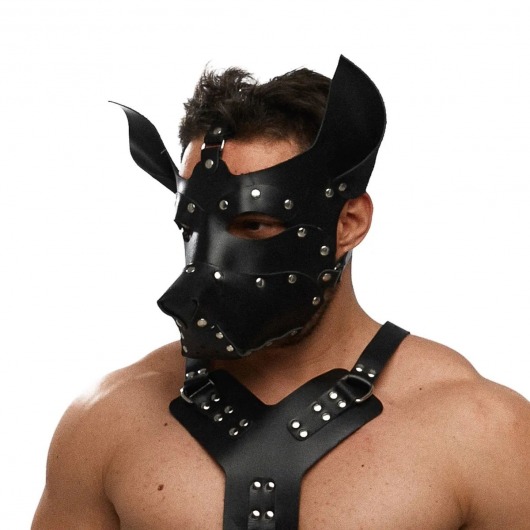 Черная кожаная маска «Собака» - Crazy Handmade - купить с доставкой в Волжском