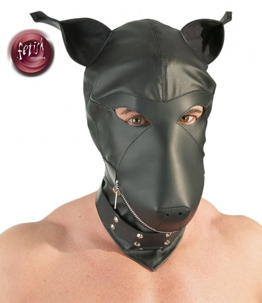 Шлем-маска Dog Mask в виде морды собаки - Orion - купить с доставкой в Волжском