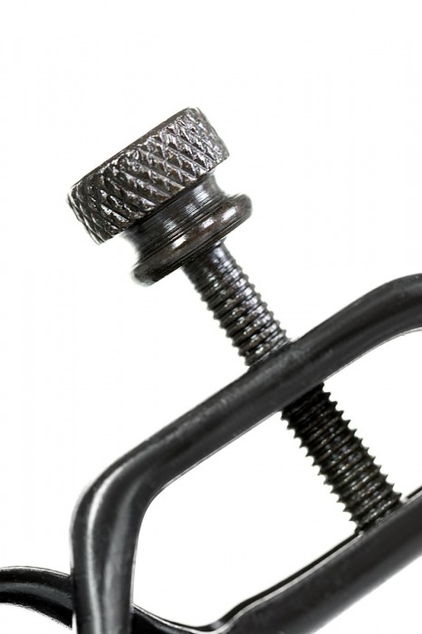 Черно-золотистые зажимы для сосков TOYFA Theatre - ToyFa - купить с доставкой в Волжском