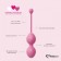 Набор из 3 розовых вагинальных шариков FemmeFit Advanced Pelvic Muscle Training Set - FeelzToys в Волжском Набор из 3 розовых вагинальных шариков FemmeFit Advanced Pelvic Muscle Training Set - FeelzToys